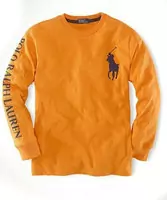 ralph lauren chaqueta 2011 orange,acheter ralph lauren big pony hoodies